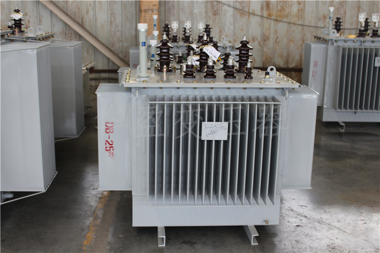 雅安S20-800kVA/10kV/0.4kV变压器